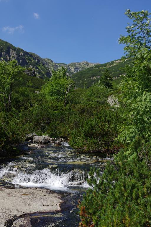 Studio Livia Vysoké Tatry Εξωτερικό φωτογραφία