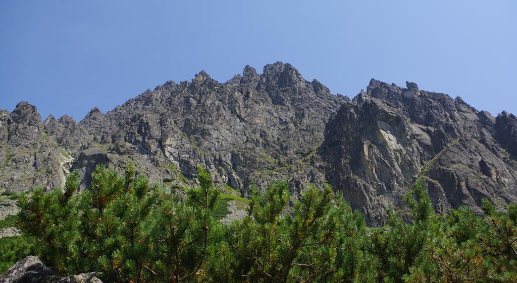 Studio Livia Vysoké Tatry Εξωτερικό φωτογραφία