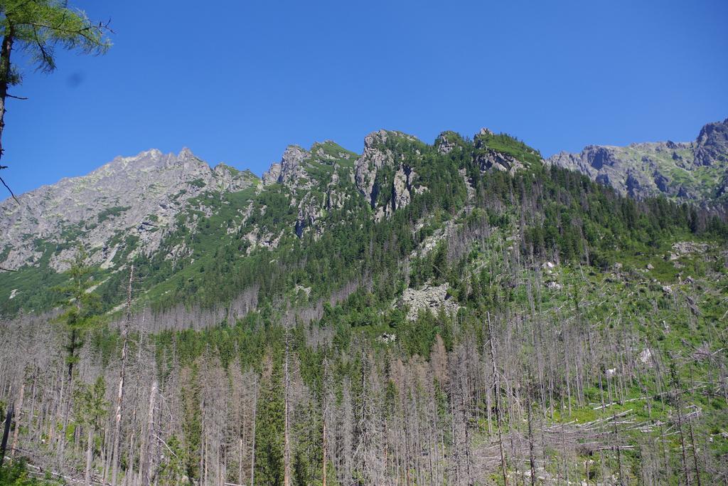 Studio Livia Vysoké Tatry Εξωτερικό φωτογραφία